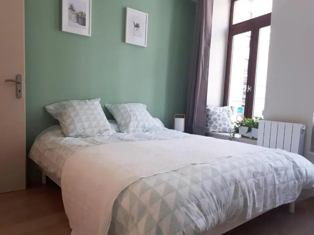 Appartement 60m2 / Hyper Centre (Gares et Vieux Lille)