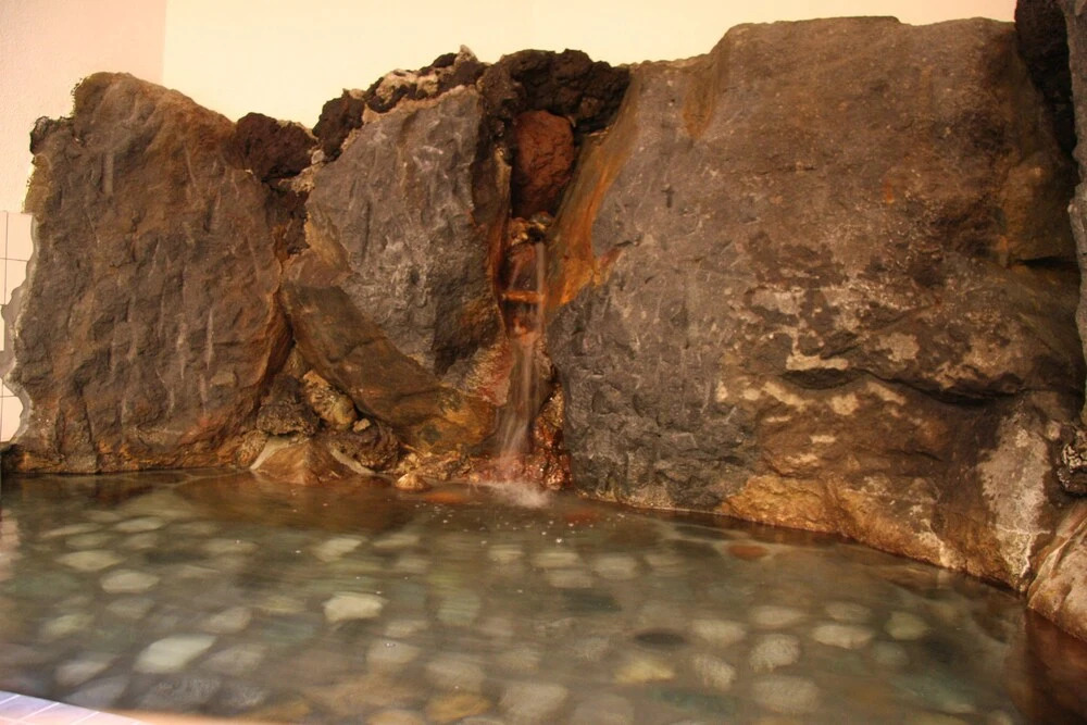 forest gora onsen