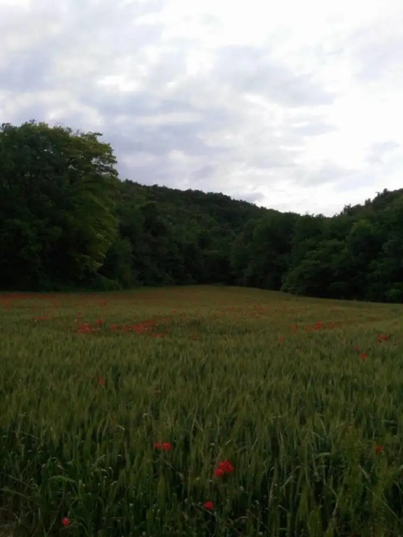 Il Casale di Colli sul Velino