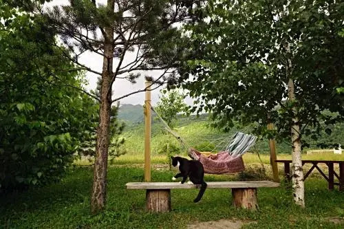 Guest House Arina