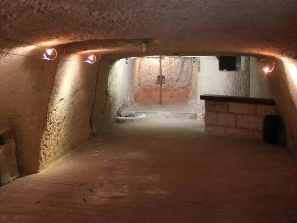 Gîte Médiéval Croglodytique à Loches avec Animaux Acceptés - FR-1-381-162