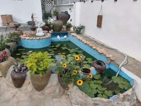 Tan Xisu Yun Xu Seaview Homestay