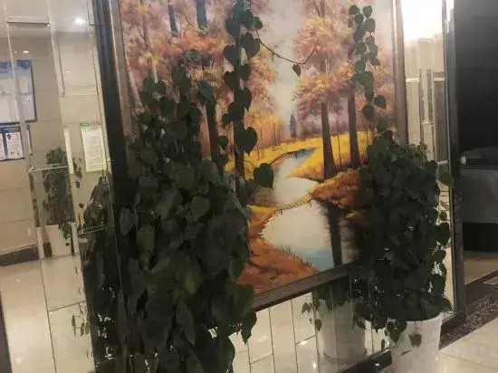 Chongqing Meidi Hotel (Wanzhou Railway Station Zhanqian Square)