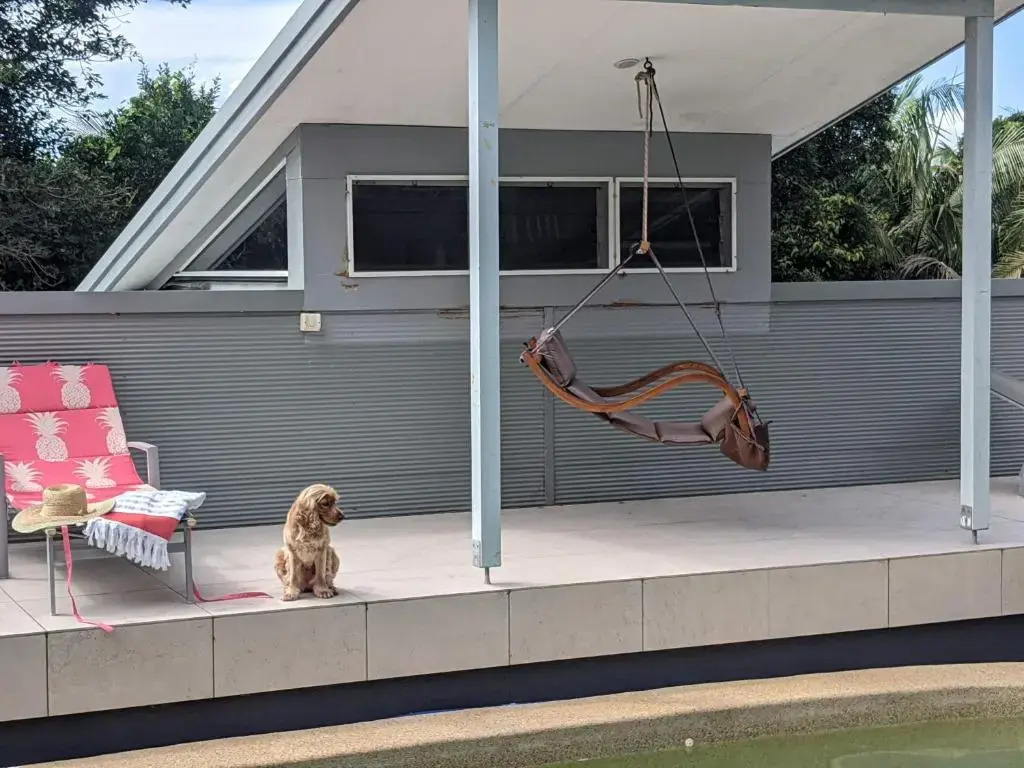 Phoenix Oasis, Family and Pet Friendly Apartment with Pool