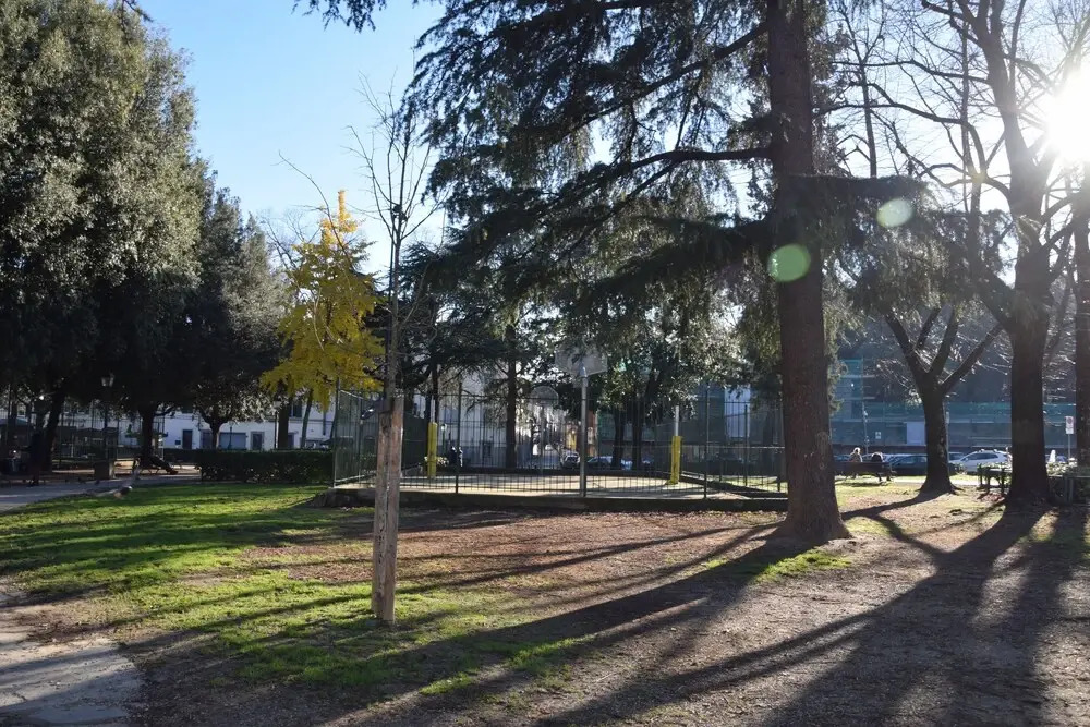 Cosy Studio Flat in the City Center of Florence