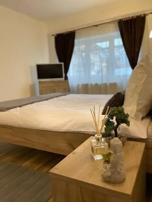 Apartament Modern Centru Sibiu 2Dormitoare