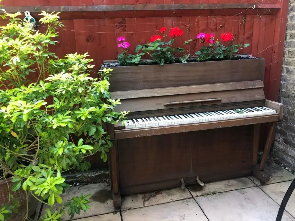 Lovely Garden Flat in Shepherds Bush