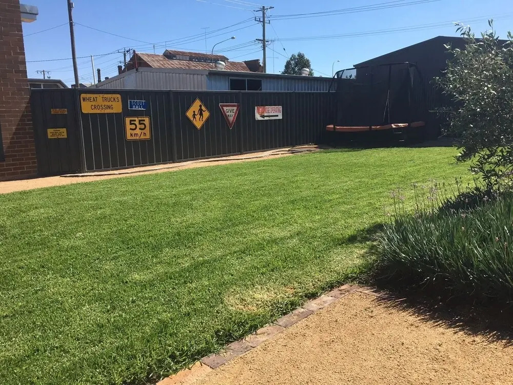 Thelma's Temora