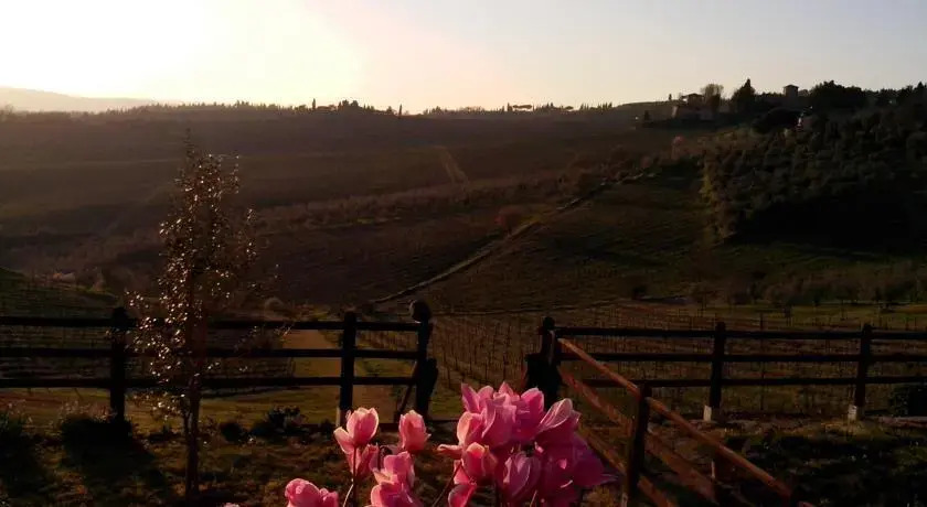 Immersi nella campagna Toscana