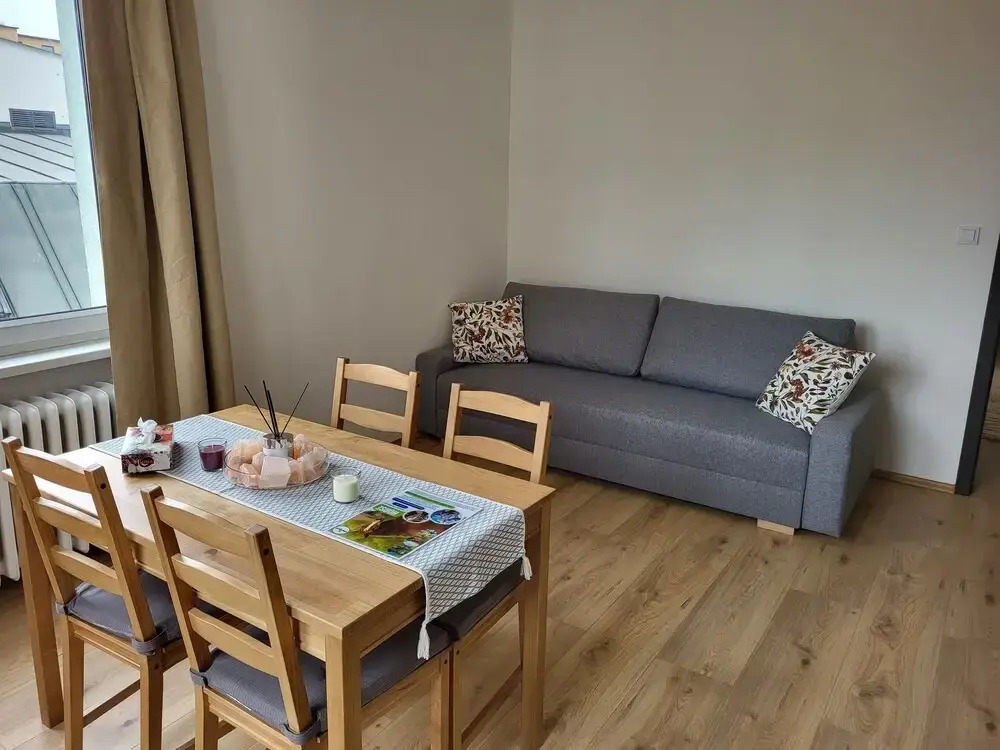 City Center Apartments - Moderna Brno Římské náměstí I