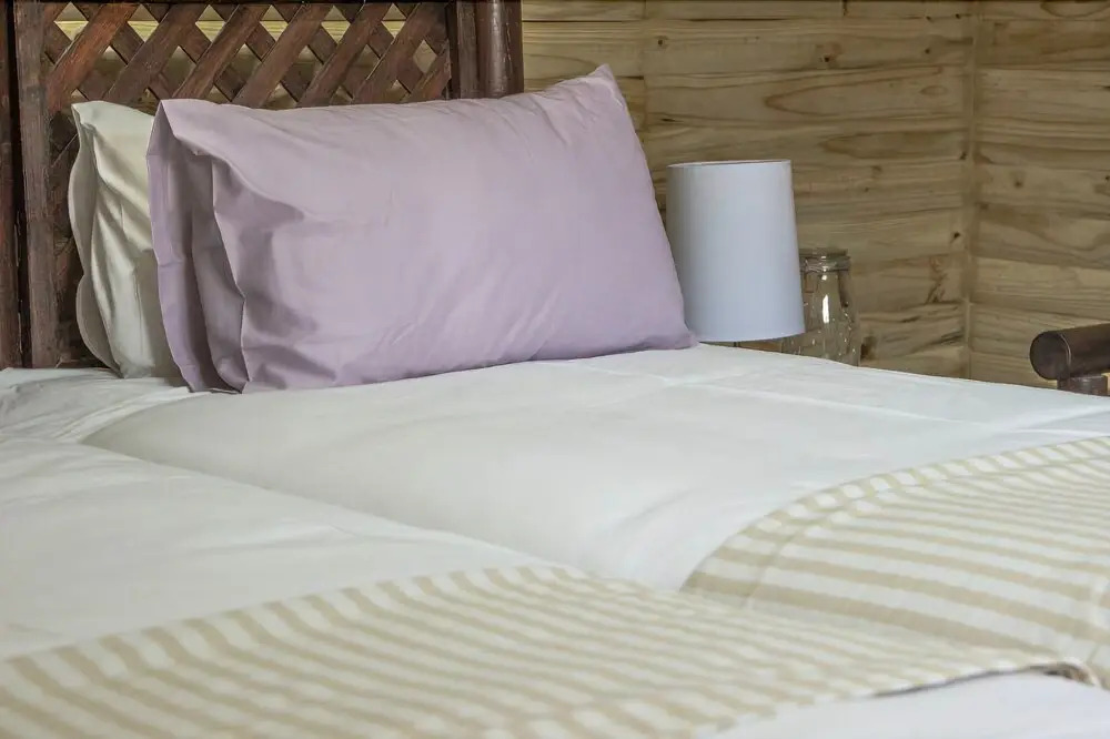Silver Fig Guest House