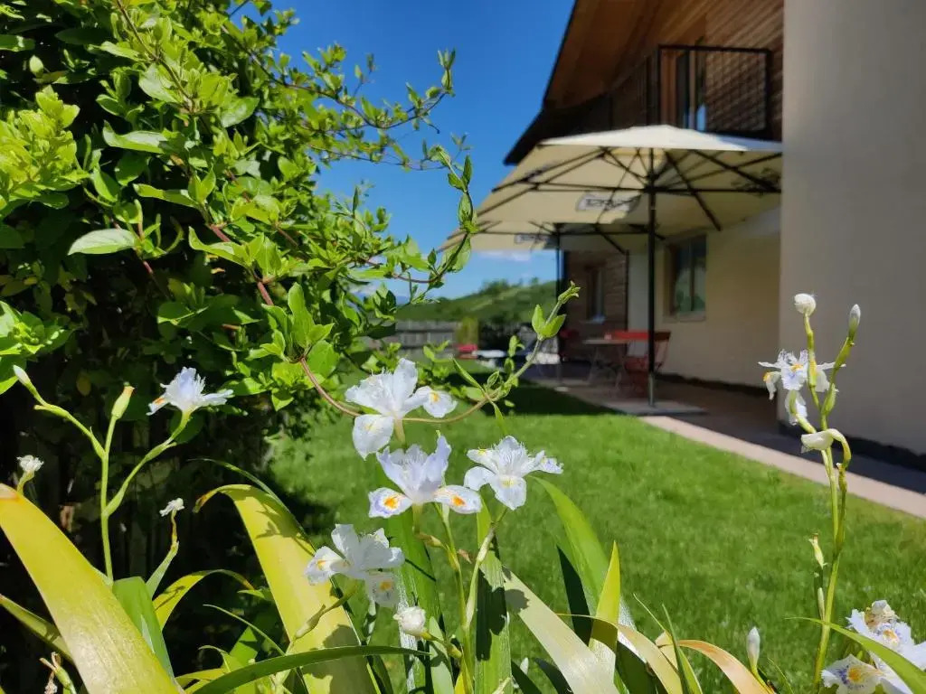 Bio Agritur al Bait