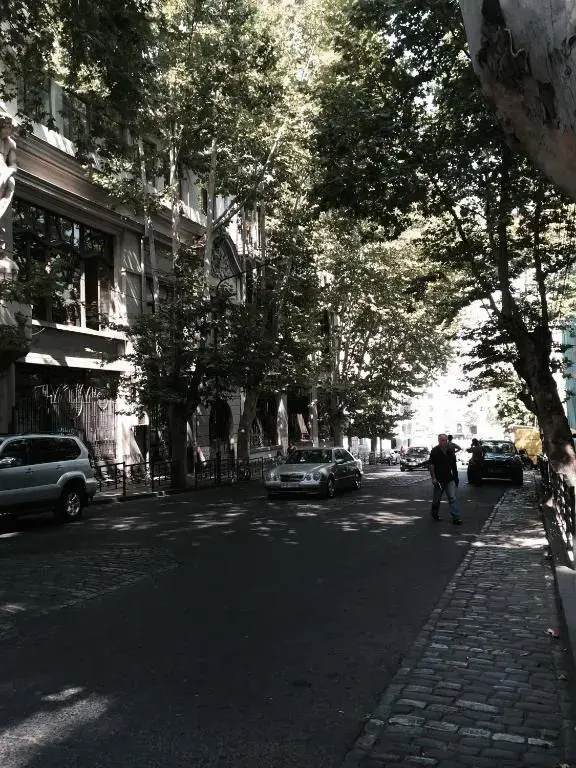 Beauty in the Heart of the City