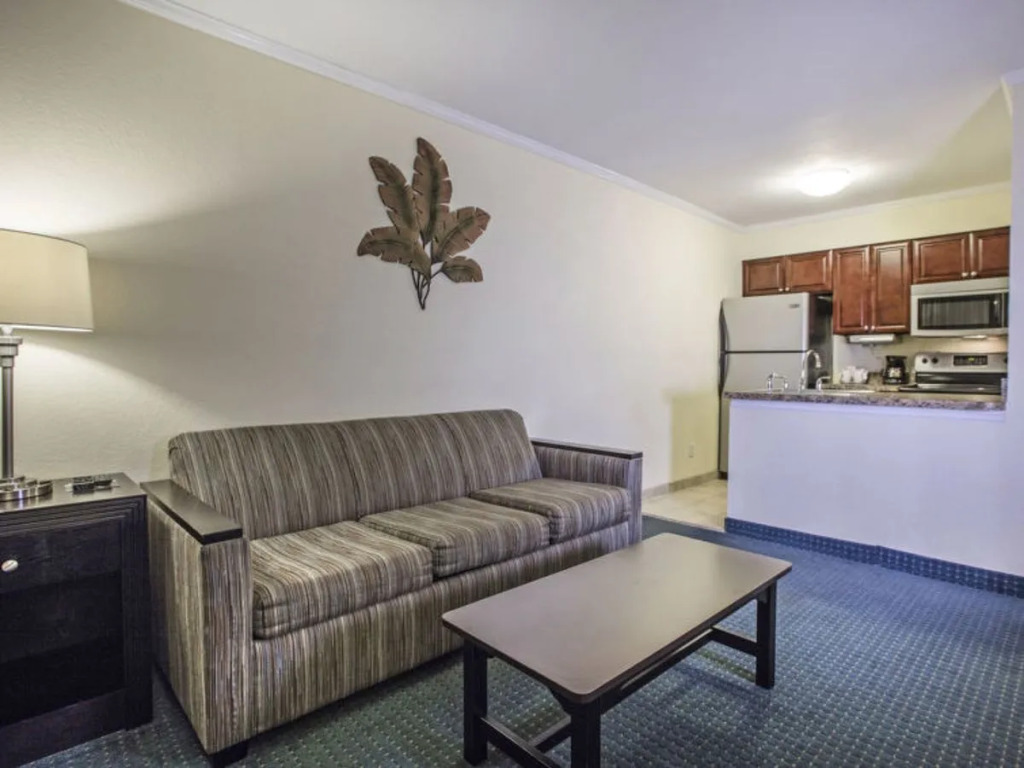 Tampa Waterfront 40977