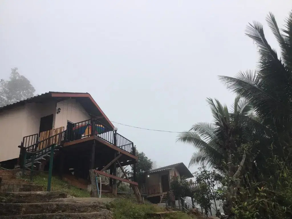 Forest Guesthouse