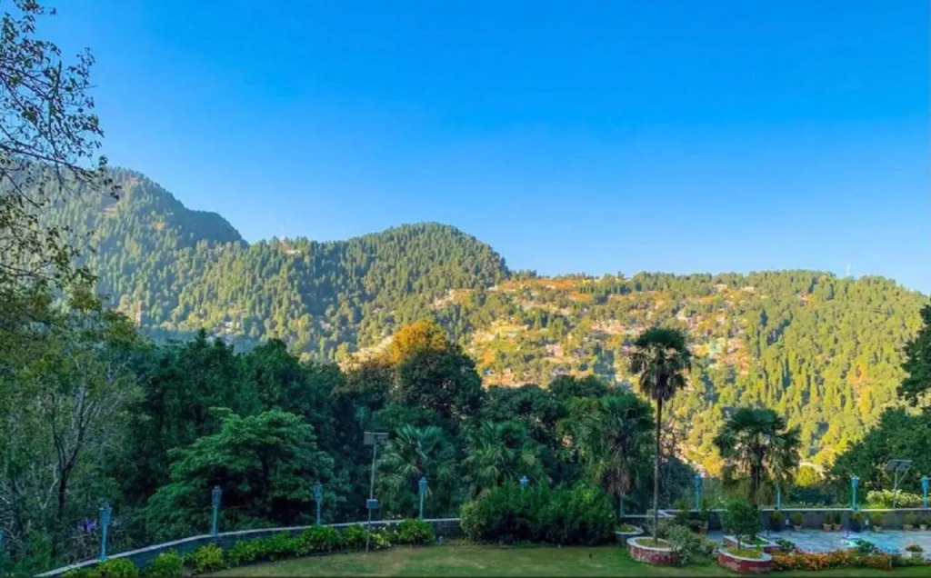 Ayar Jungle Resort