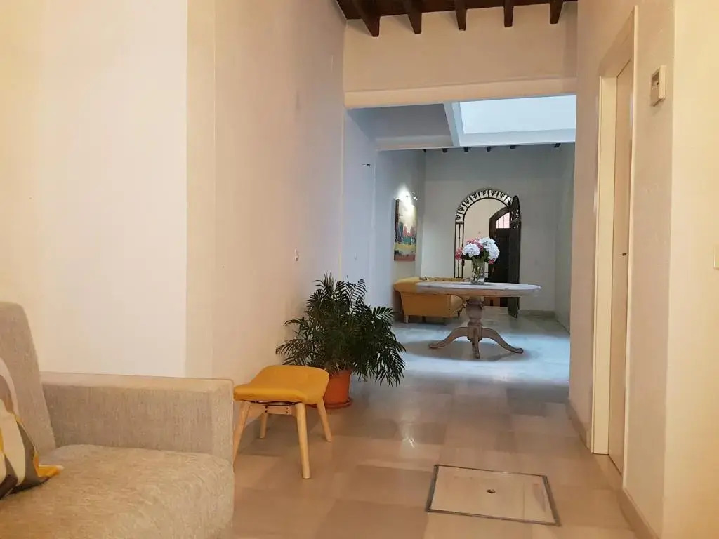 Casas de Sevilla - Casa Sevillana Harinas26