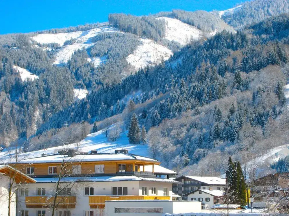 Apartment Riccardo - by Alpen Apartments