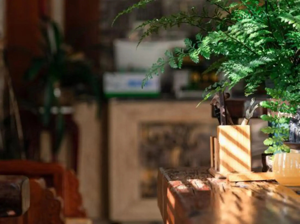 Ziyu Holiday Hotel (Lijiang Ancient City)
