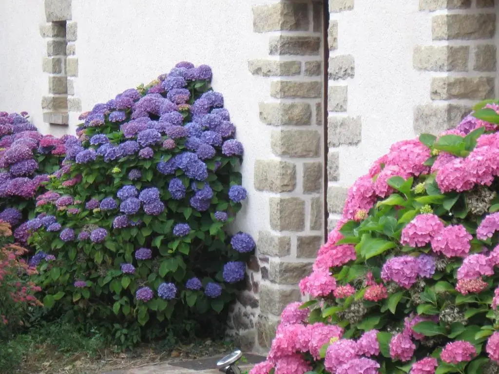 Perrault Gites
