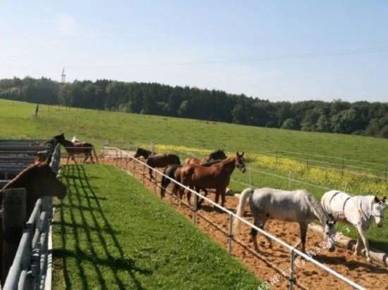Reitanlage Hartsfeldhof