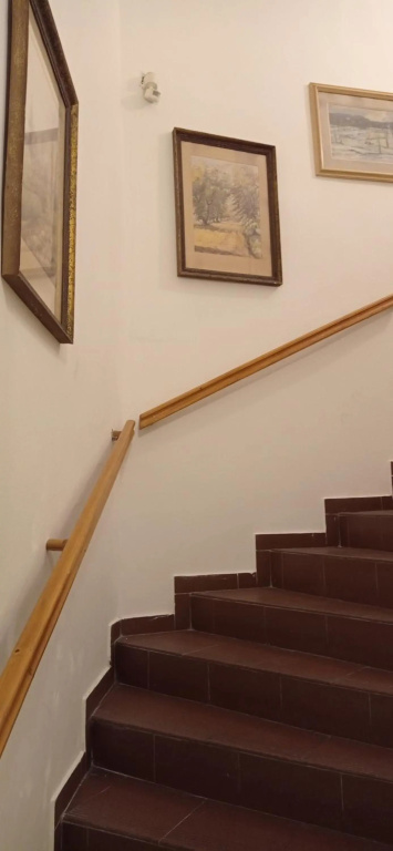 Hotel U Zlateho jelena