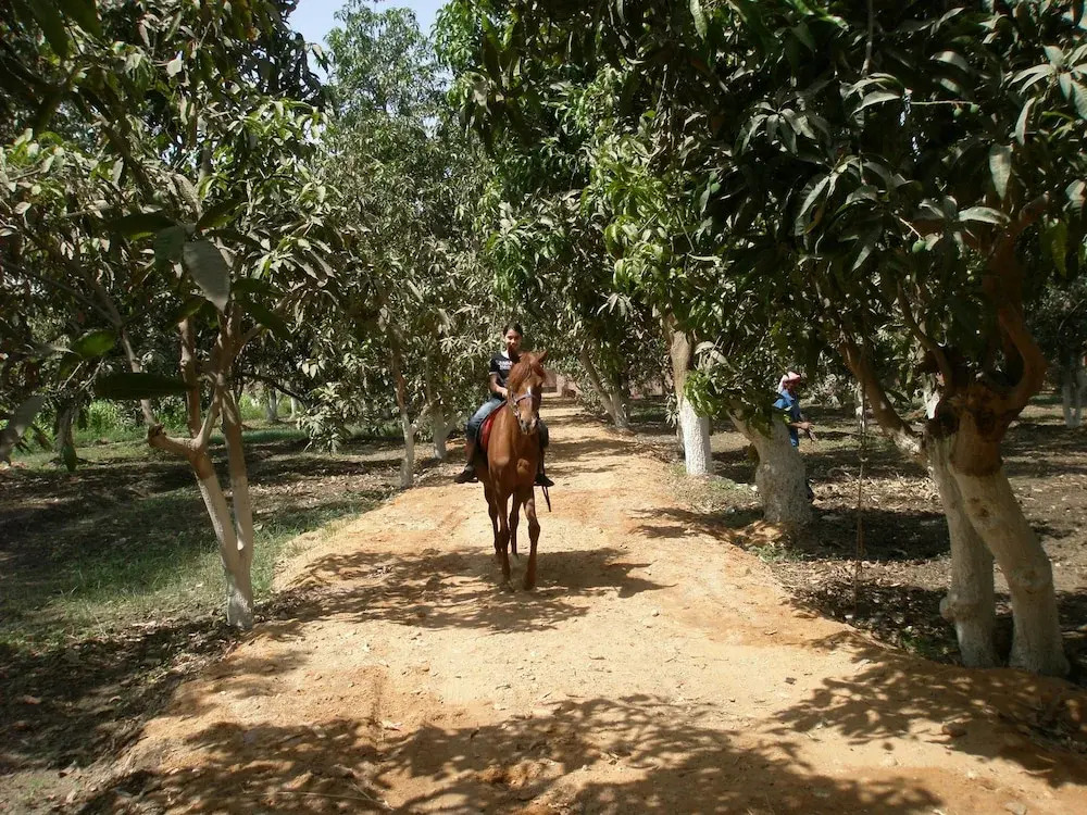 Equestrian lodge - Pyramids Egypt