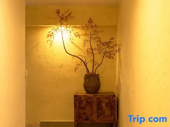 Qingchengshan Yipintan Sitang Homestay