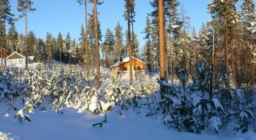 Chalet Vradal