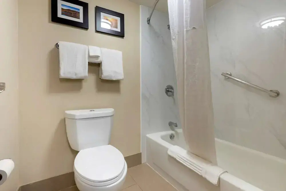 Comfort Inn Binghamton I-81