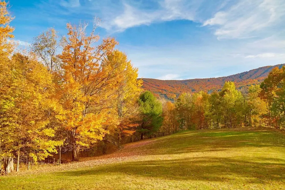 'the Mountain House:' Windham Retreat w/ Hot Tub!