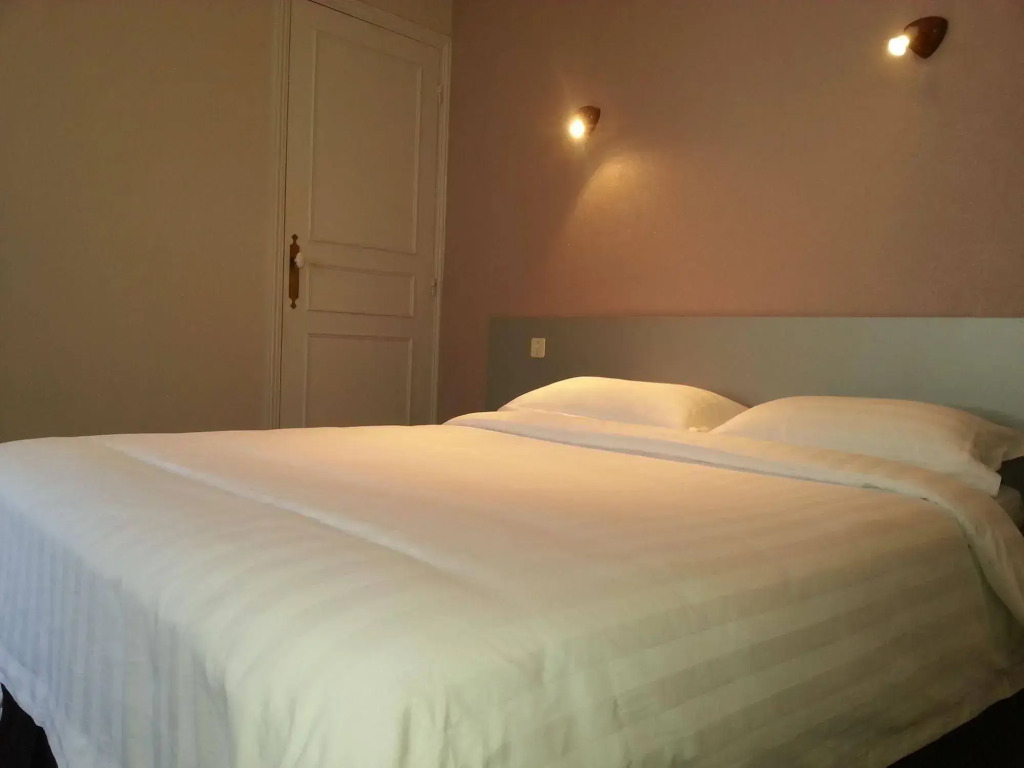 Hotel Du Cygne Tours