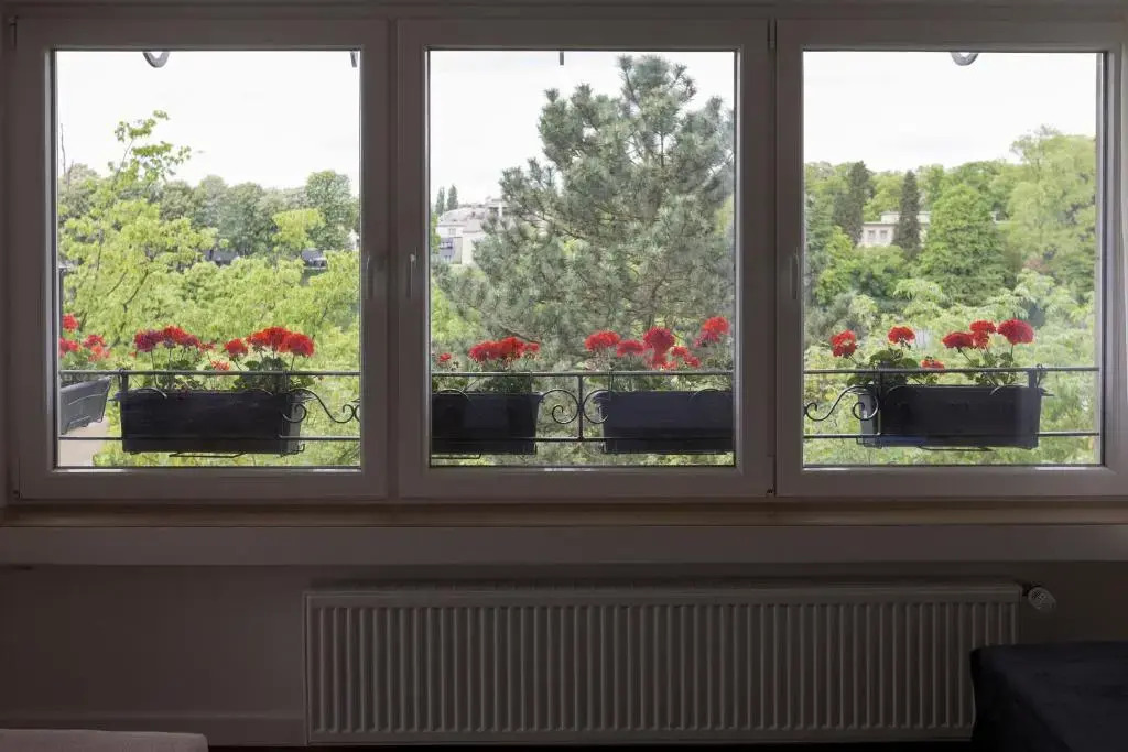 The Queen Luxury Apartments - Villa Vinicia