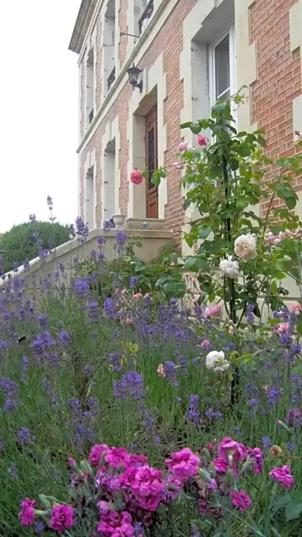 Fleur De Senon