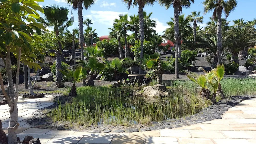 Oasis Royal 2 Dormitorios Piscinasfibra Optica