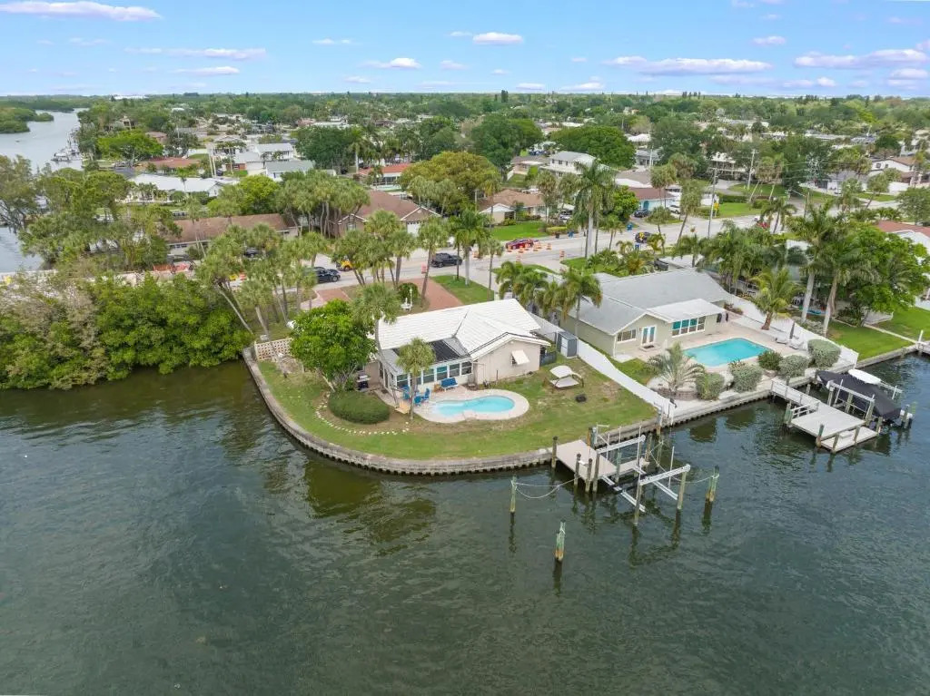 Dolphin Bayou