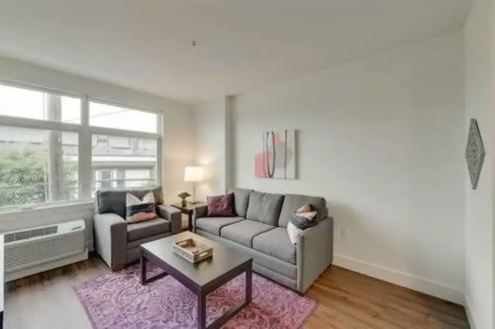 Savier Superior Corporate Rentals