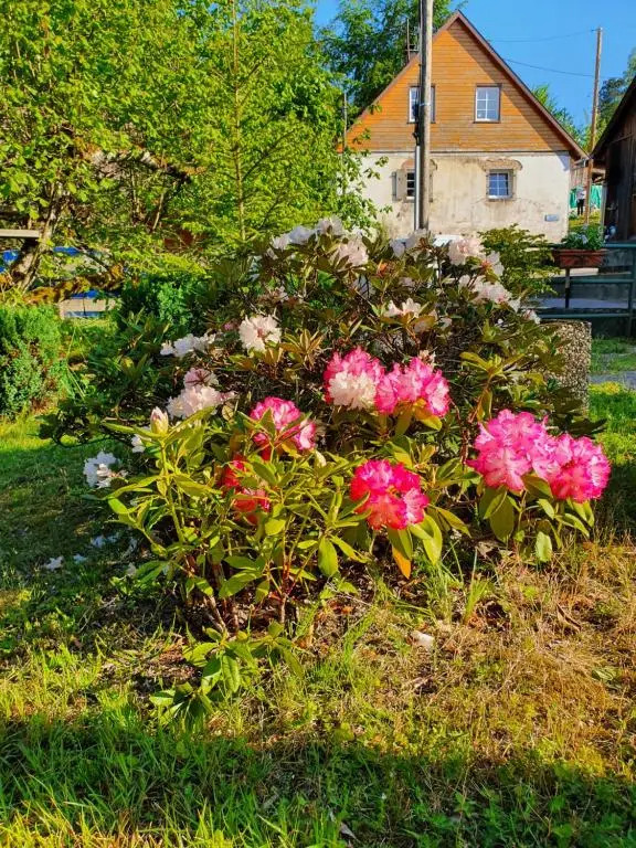 Locations Dupertuis Alsace