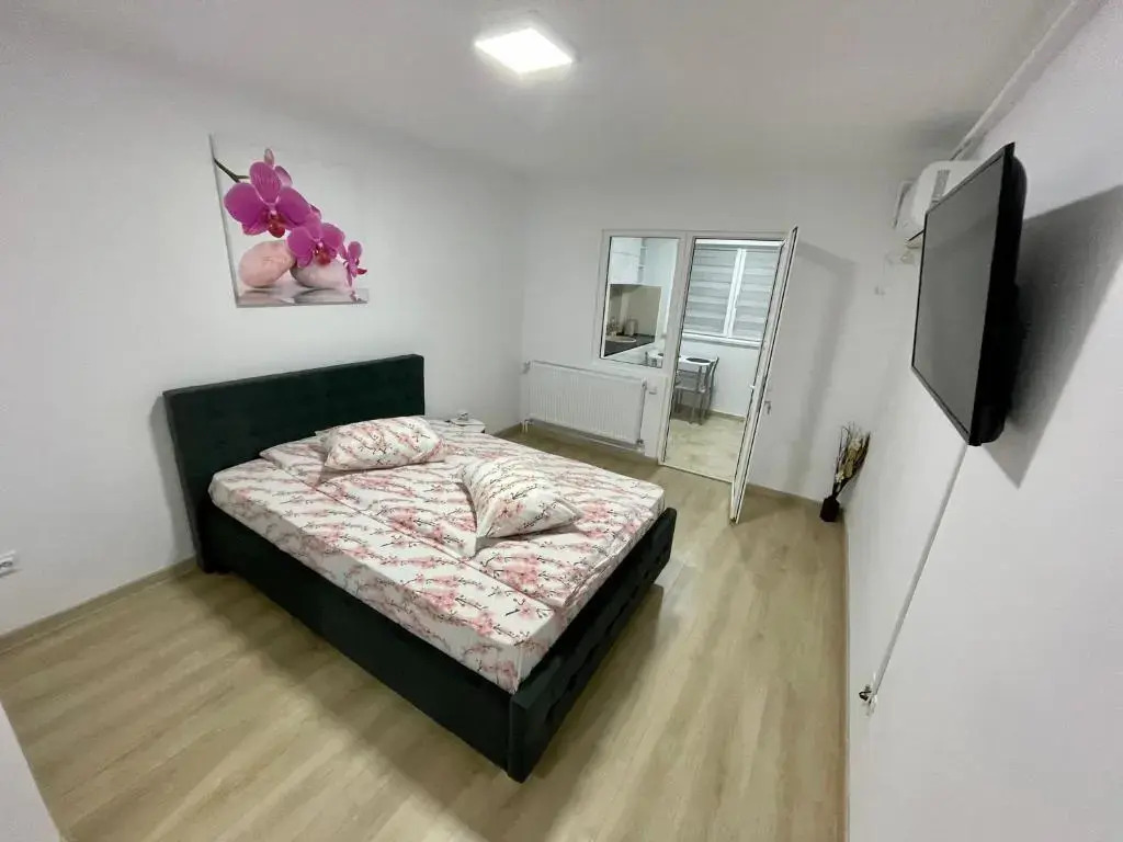 Garsoniera moderna 1