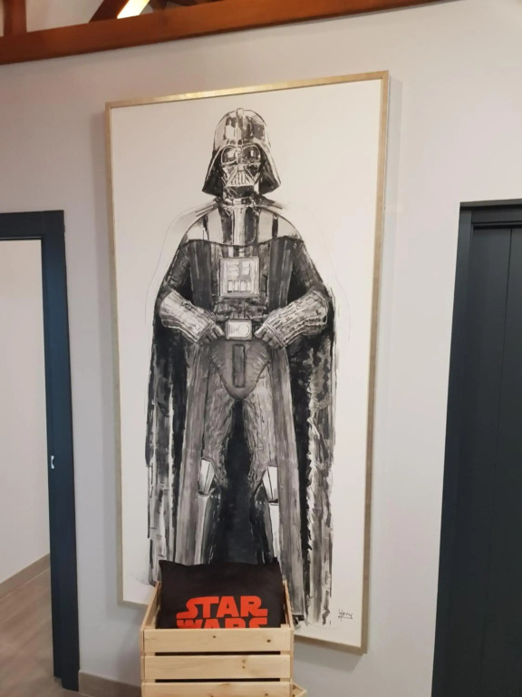 Star Wars Apartment