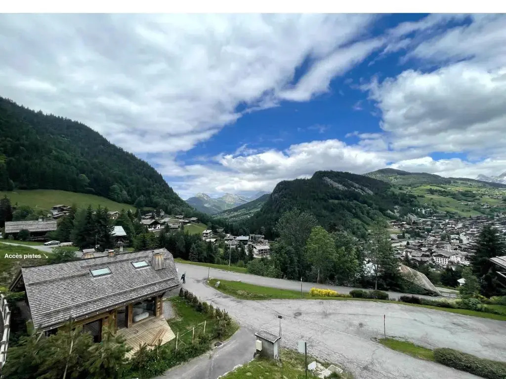 Richemont 12 - Duplex Proche Pistes Vue