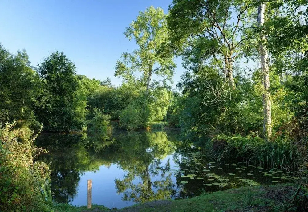 Rives Nature