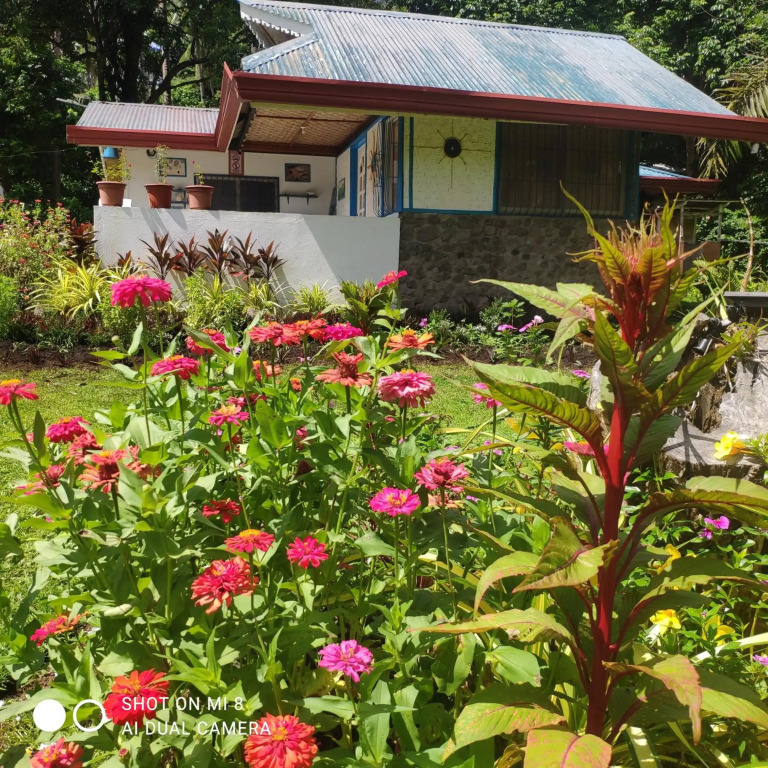 Sun House Rental