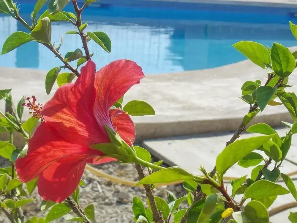 Villa With 2 Bedrooms in Calpe, With Wonderful sea View, Private Pool,