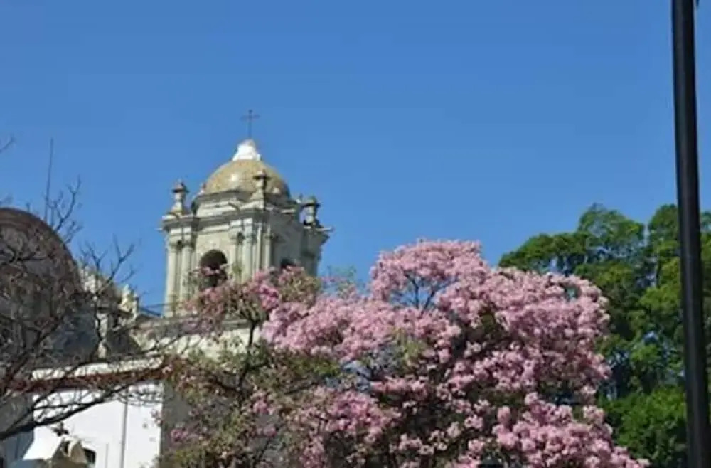 The best place to enjoy Oaxaca