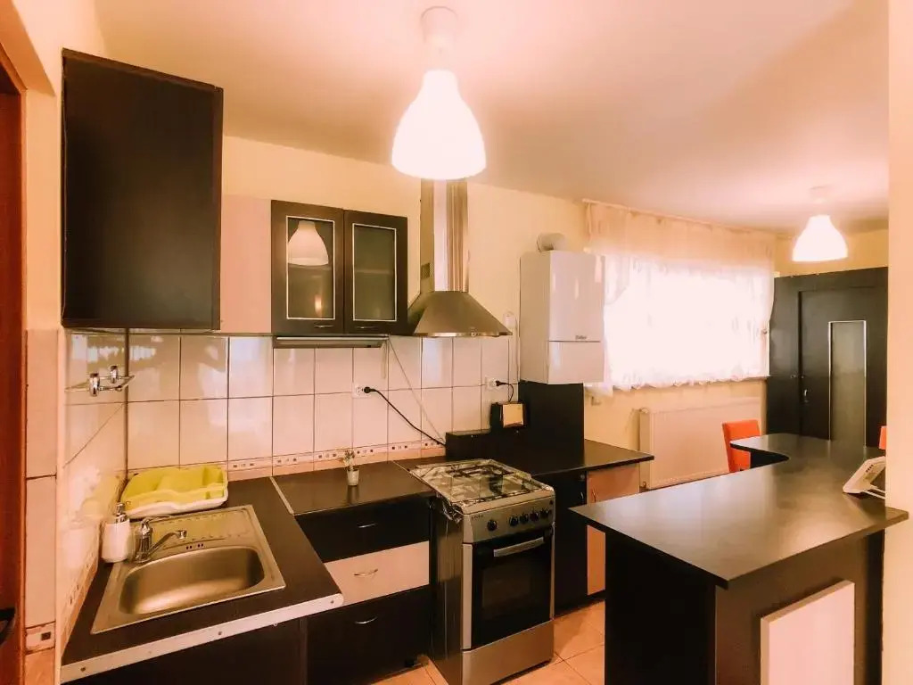 Spacious Apartment near Peles
