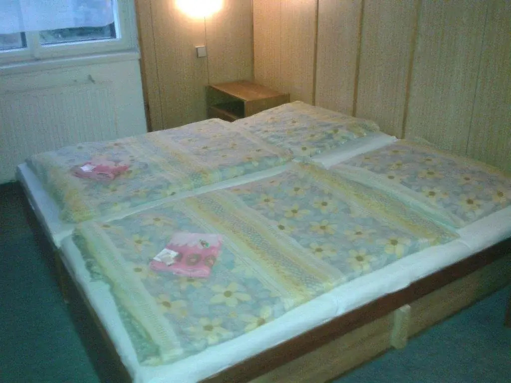 Hotel Orlice