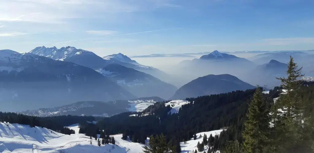 Chalet Montagne 11 P Grand Massif 100 M Telecabine