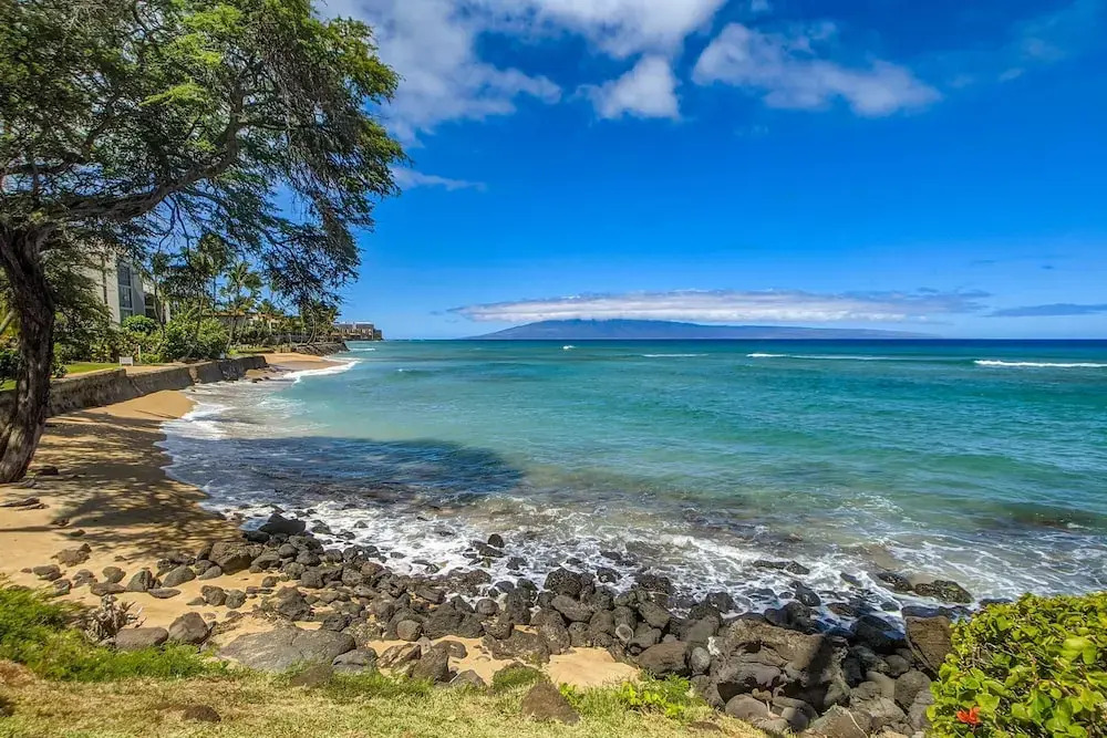 Kuleana 409 Oceanfront 1 bedroom 1 bath condo 1 Condo by RedAwning