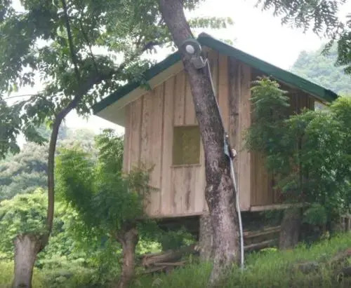 The Green Ranch